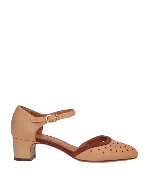 Chie Mihara Brown Pumps Leather