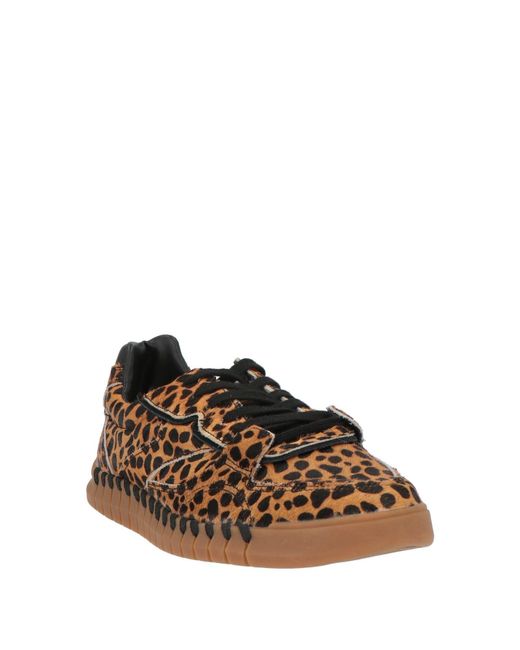 Colors Of California Brown Trainers