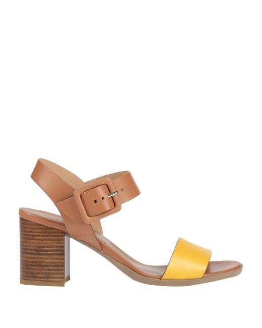 Nero Giardini Brown Sandals