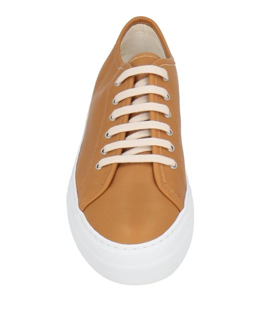 Common Projects Brown Sneakers