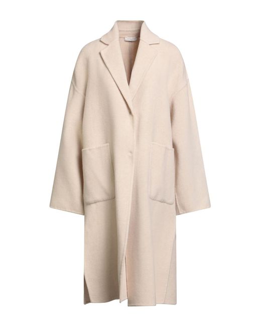 Antonelli Natural Coat Wool