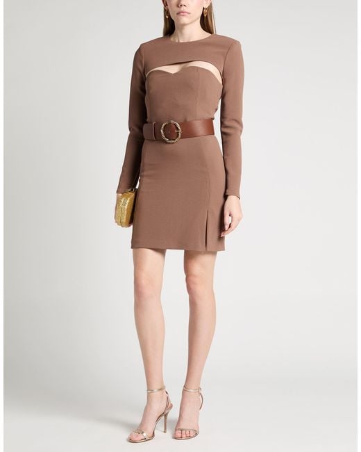 Elisabetta Franchi Brown Mini Dress Polyamide, Elastane, Synthetic Fibers