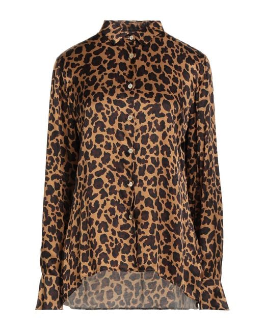 Robert Friedman Brown Shirt