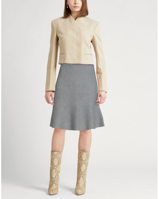 Gonna Midi di Fabiana Filippi in Gray