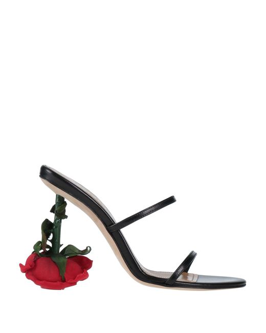 Loewe sandals 2024