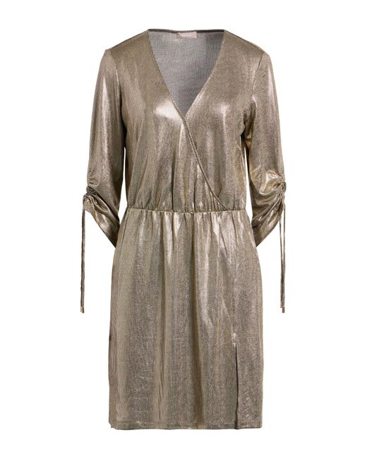 Liu Jo Gray Mini Dresses