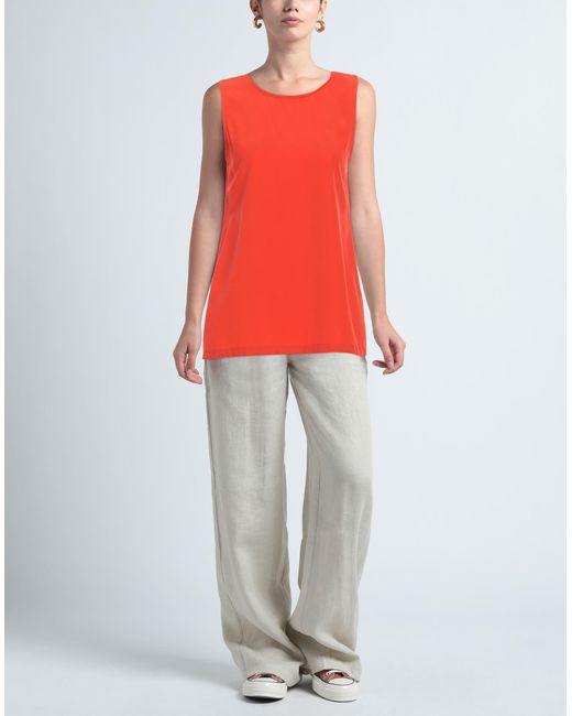 Maliparmi Red Top