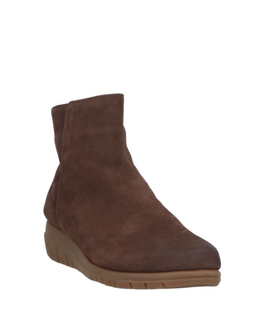 The Flexx Brown Ankle Boots Leather