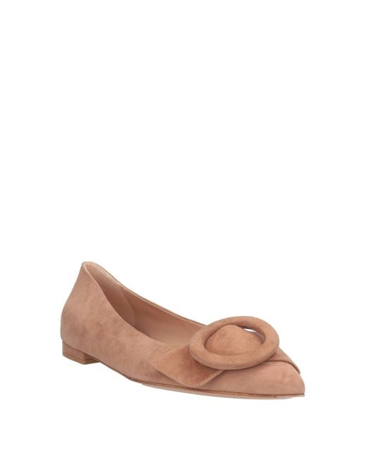 Gianvito Rossi Brown Ballerina