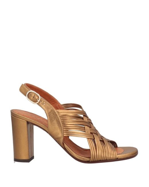 Chie Mihara Brown Sandals