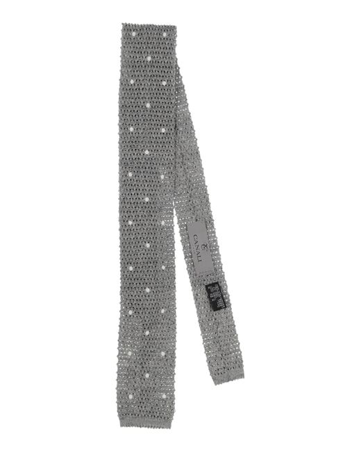Canali Gray Ties & Bow Ties for men