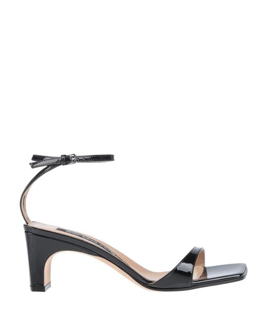 Sergio Rossi Black Sandals