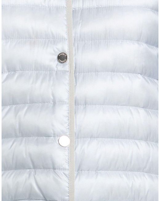 Moorer Blue Puffer