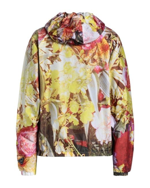 Add Yellow Jacket