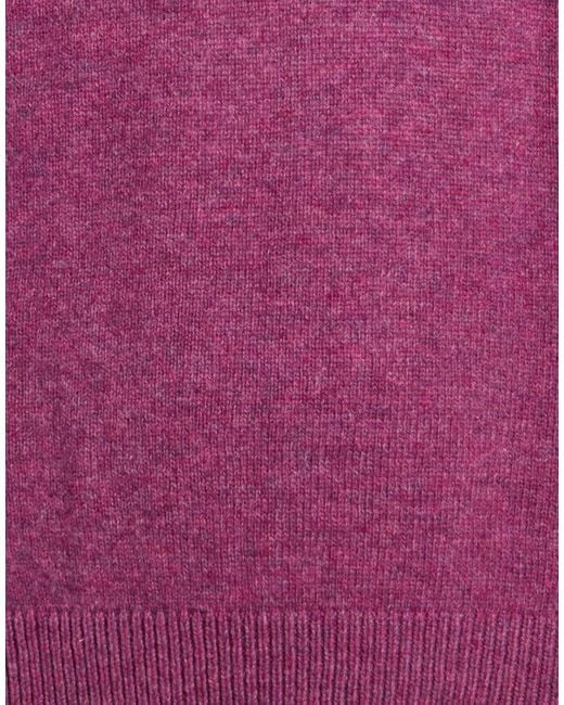 Roda Purple Sweater Wool for men