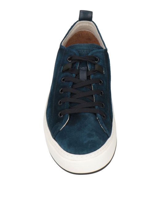 Brimarts Blue Trainers for men