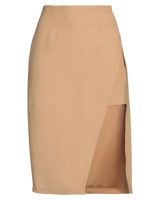 Elisabetta Franchi Natural Midi Skirt