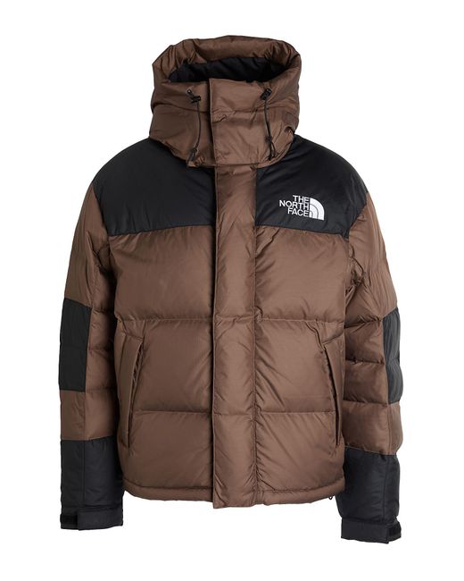 The North Face Brown Puffer for men