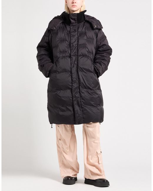 Iceberg Black Puffers