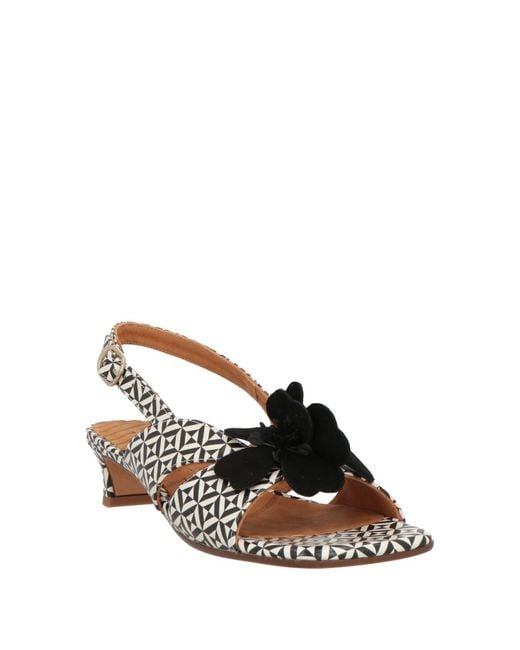 Chie Mihara Black Sandals