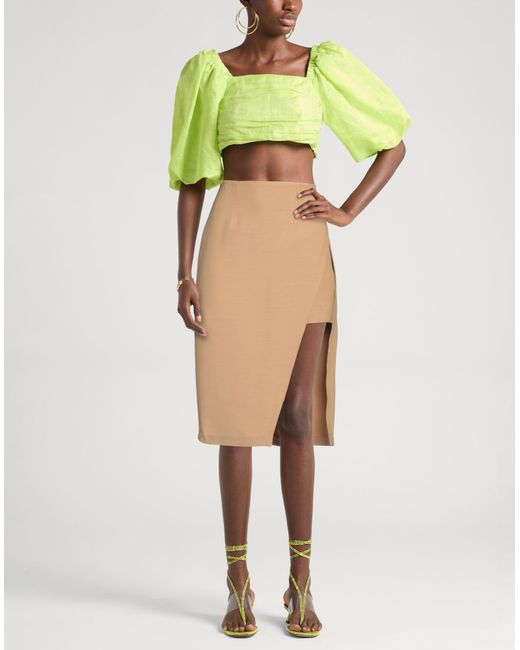 Elisabetta Franchi Natural Midi Skirt