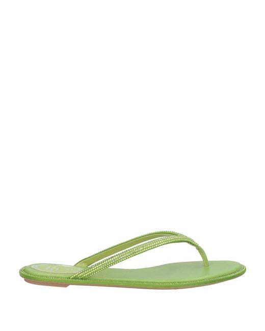Rene Caovilla Green Thong Sandal