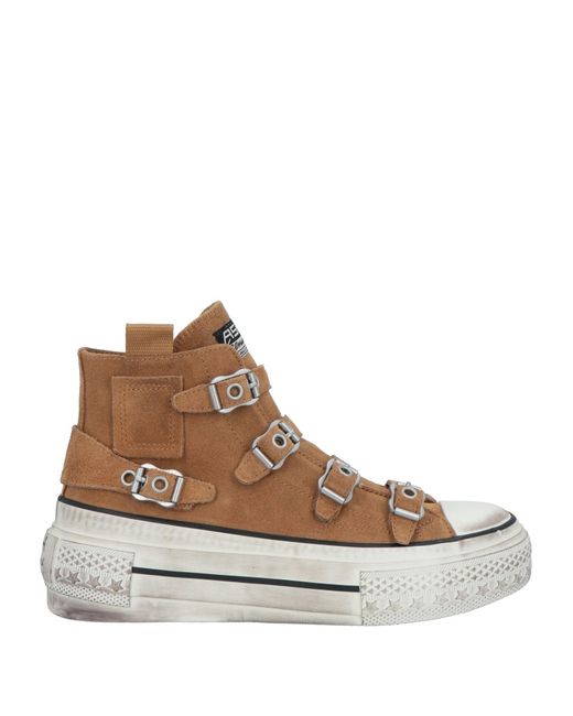 Ash Brown Trainers