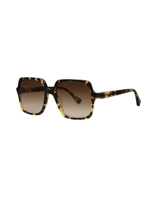 Sandro Brown Sunglasses