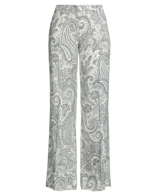 Etro Gray Hose