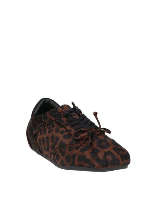 Bibi Lou Brown Trainers