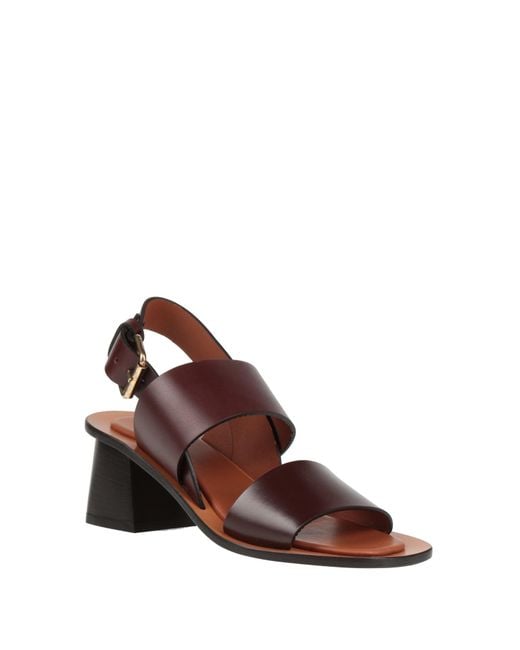 Mansur Gavriel Brown Sandals