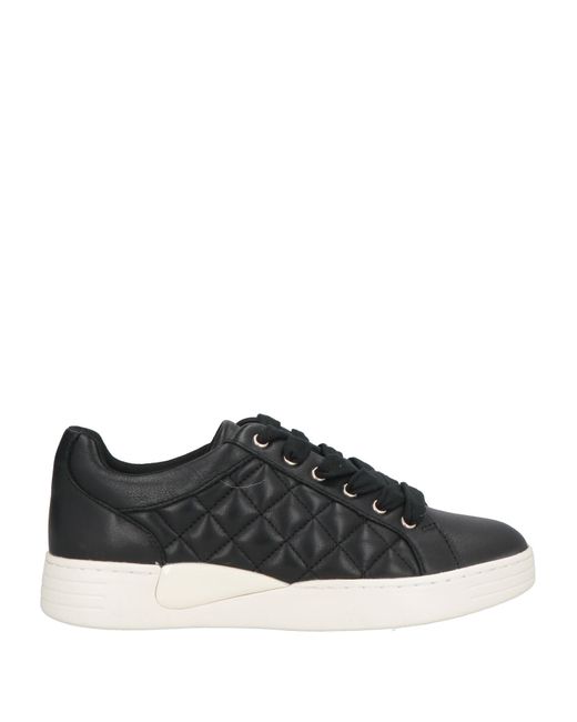 Geox Black Trainers