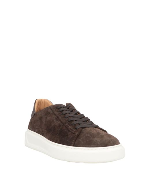 Stokton Brown Trainers for men