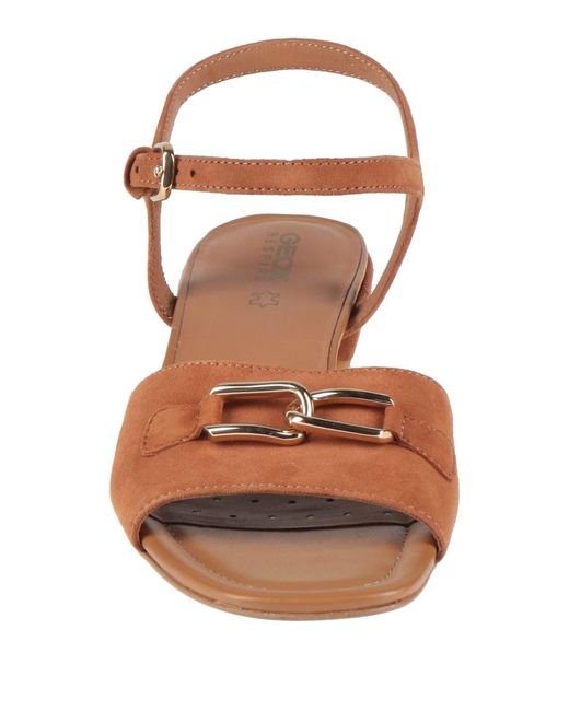 Geox Brown Sandals