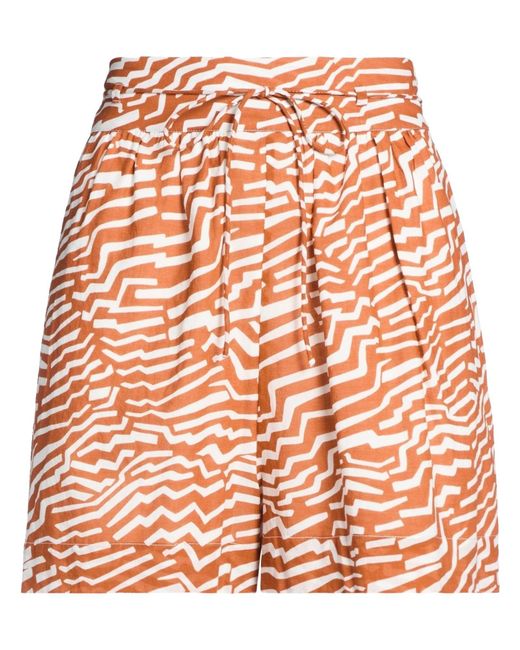 Bird & Knoll Orange Shorts & Bermuda Shorts