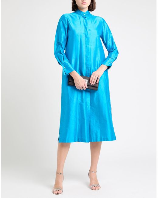 Max Mara Blue Midi Dresses