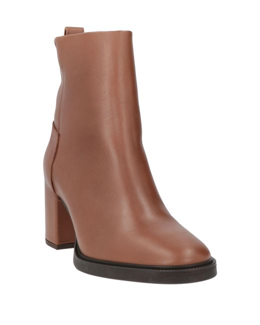 Tommy Hilfiger Brown Ankle Boots