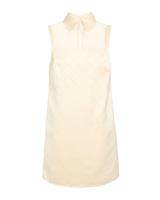 Elisabetta Franchi Natural Mini Dresses