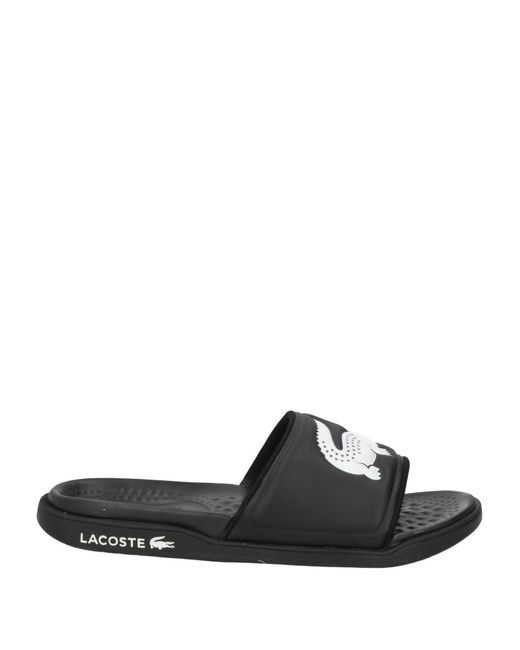 Lacoste Black Sandals for men