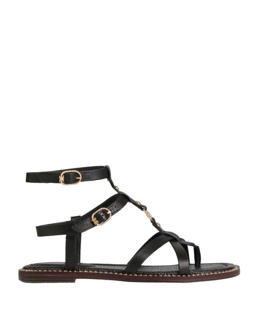 Sam Edelman Brown Zehentrenner