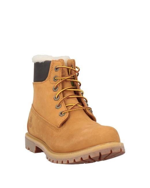 Timberland Brown Stiefelette