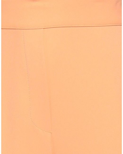 Clips Orange Trouser