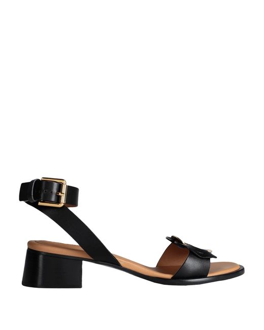 See By Chloé Black Sandals