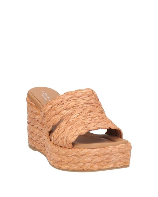 Eqüitare Brown Espadrilles
