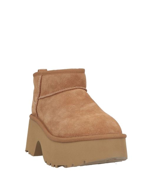 Ugg Brown Ankle Boots