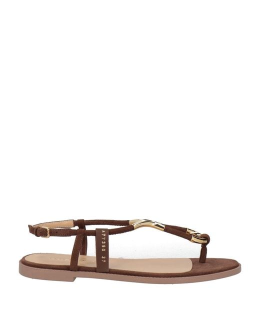 Sergio Rossi Brown Thong Sandal Leather