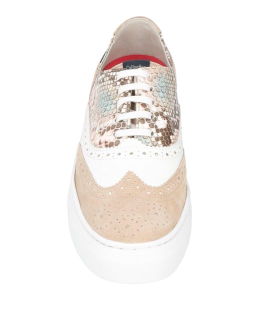 Callaghan White Lace-up Shoes