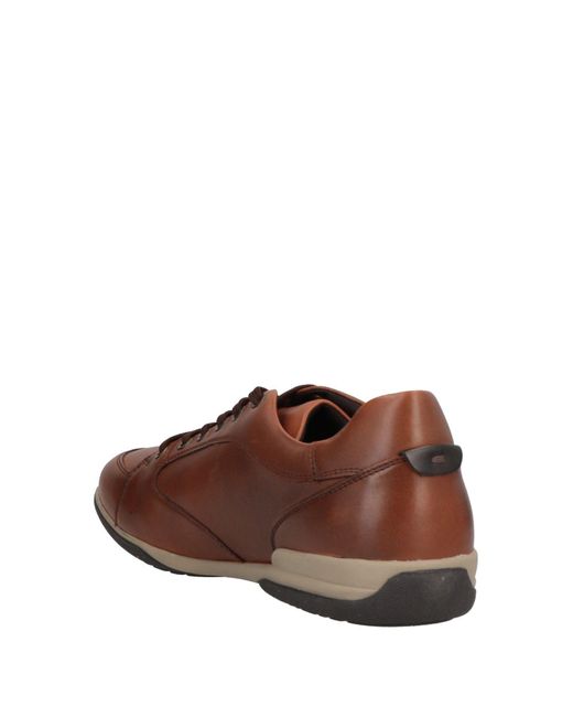 Geox Leather Sneakers in Tan (Brown) for Men | Lyst