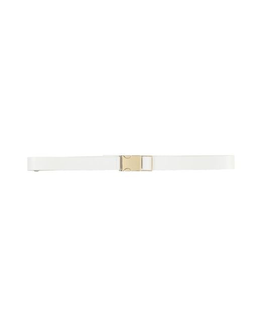 Max Mara White Belt