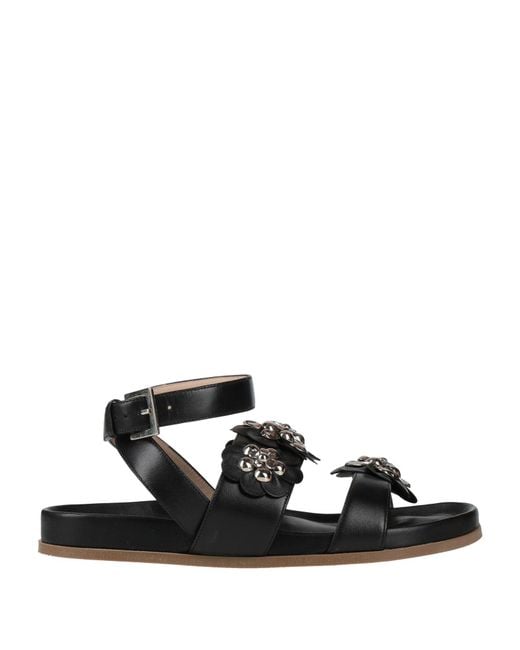 Rodo Black Sandale
